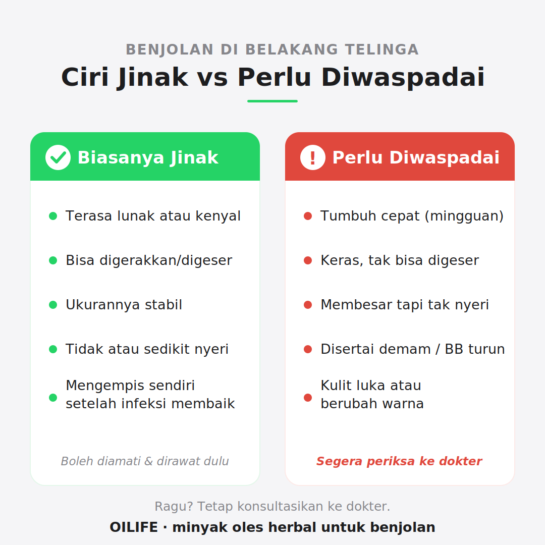 Infografik ciri benjolan di belakang telinga: jinak vs perlu diwaspadai
